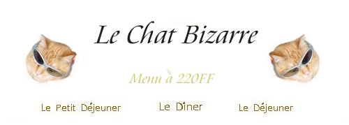 lechat bizarre